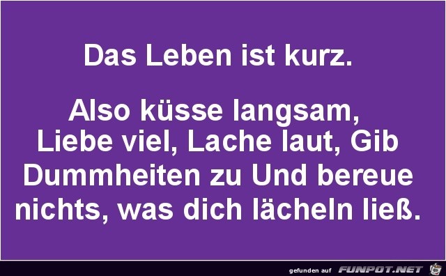 das Leben ist kurz das Leben ist kurz