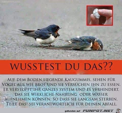 Wusstest du das Wusstest du das