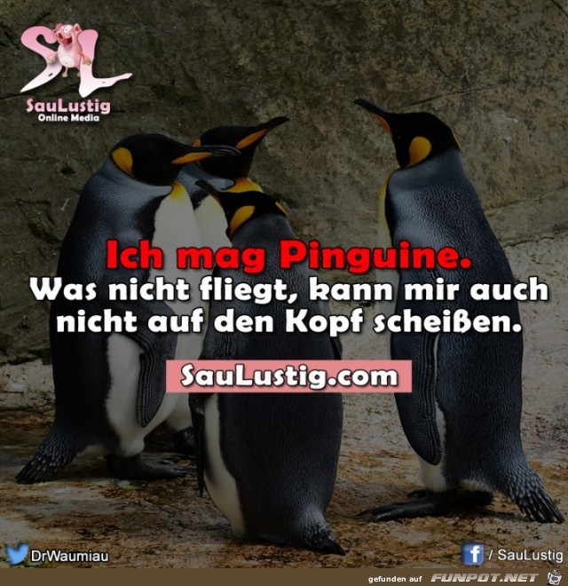 pinguine