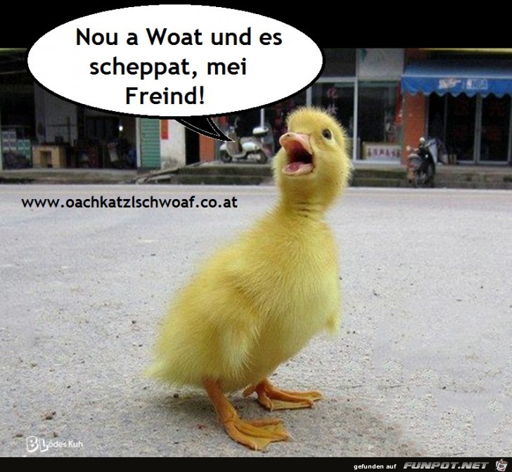 Noch ein Wort Noch ein Wort