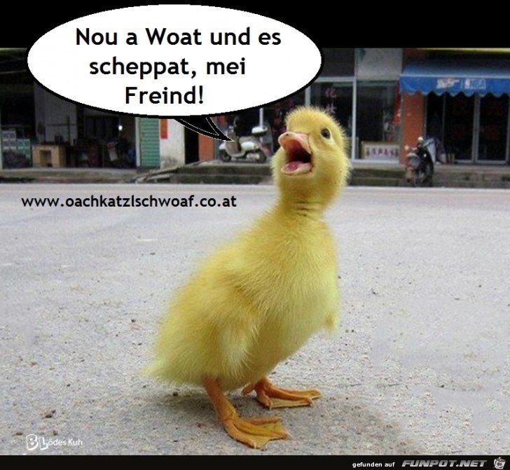 Noch ein Wort