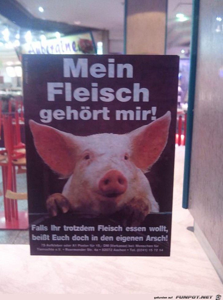 Schwein Schwein