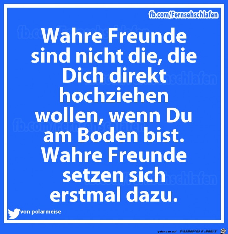 wahre freunde