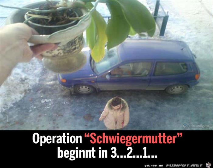 Operation Schwiegermama