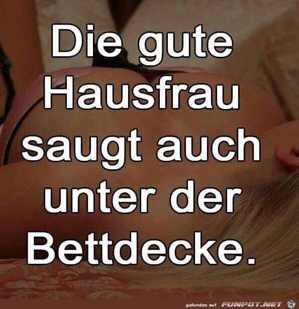 die gute Hausfrau