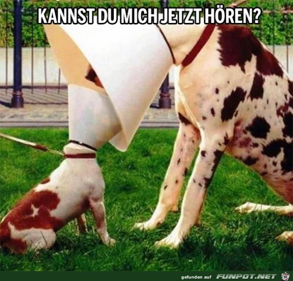 hören hören