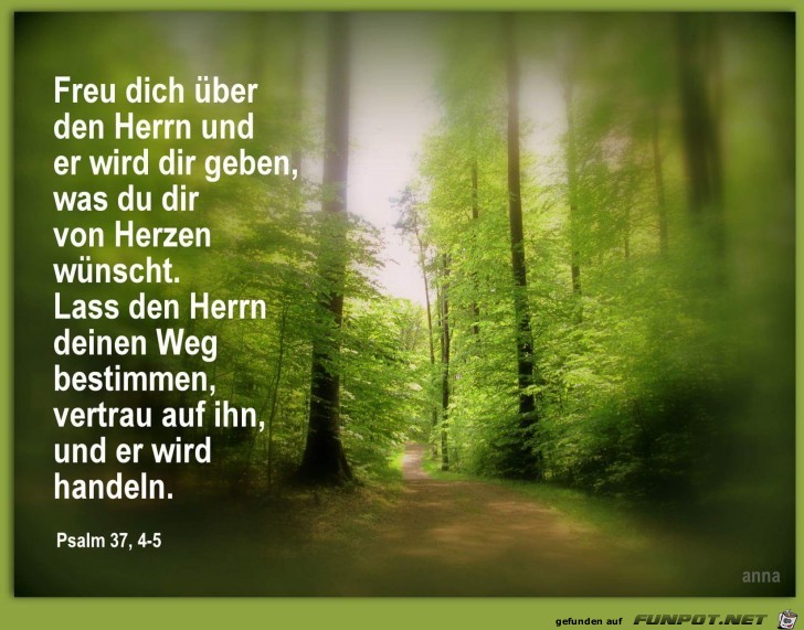 Psalm 37 4 5 Psalm 37 4 5