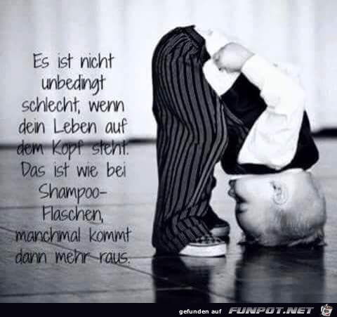 auf dem Kopf auf dem Kopf