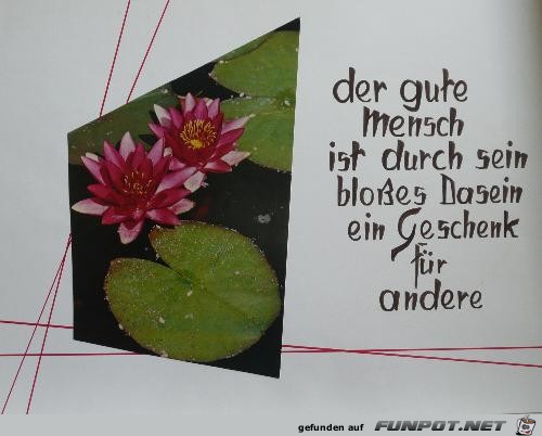 spraeueche 5 spraeueche 5