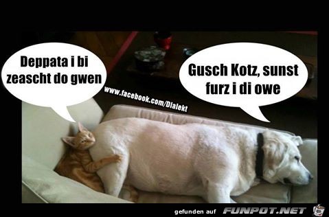 gusch gusch