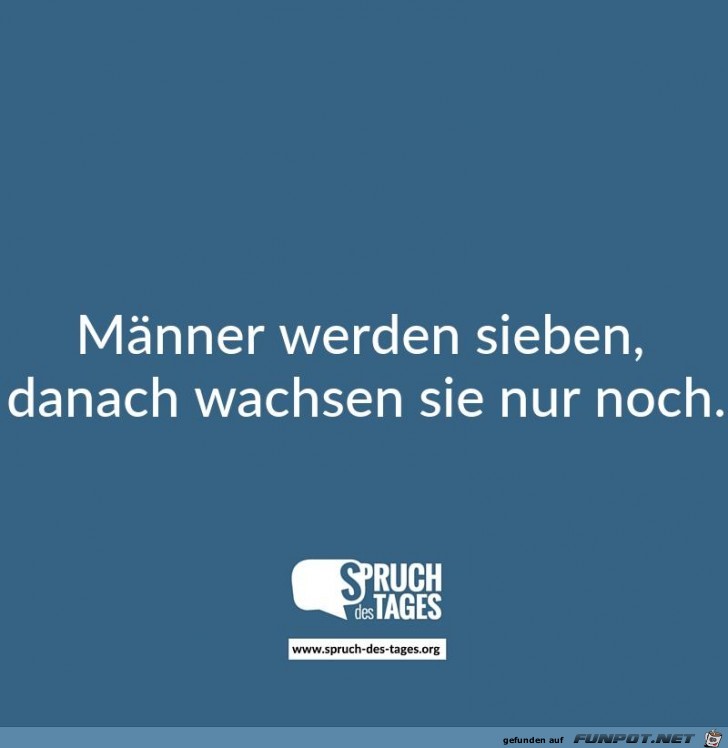 maenner-werden-sieben- maenner-werden-sieben-