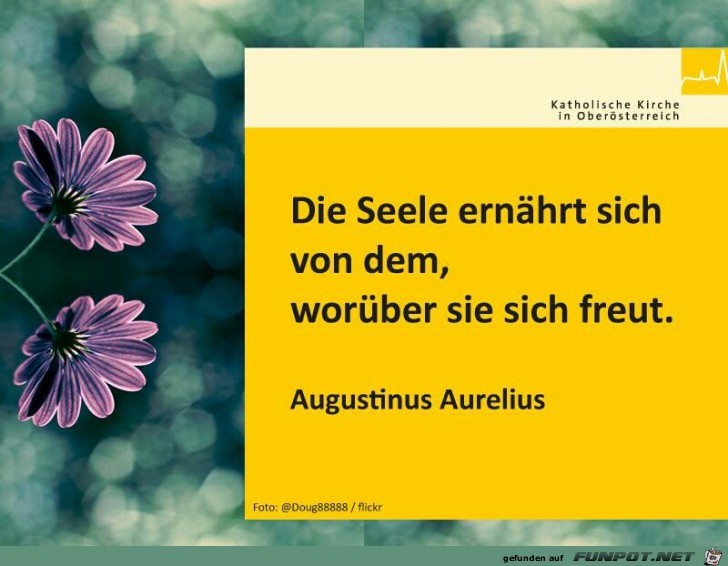 die Seele die Seele