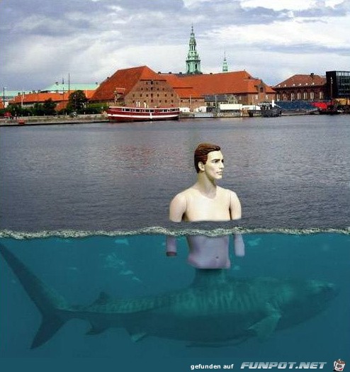 hai-mit-humor hai-mit-humor