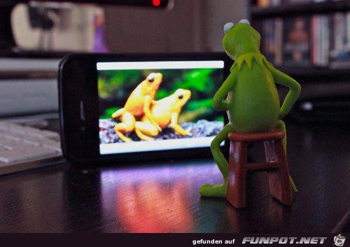 Kermit Kermit