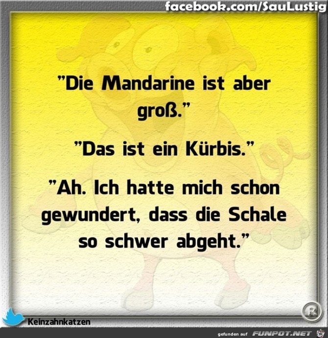Kuerbis Kuerbis