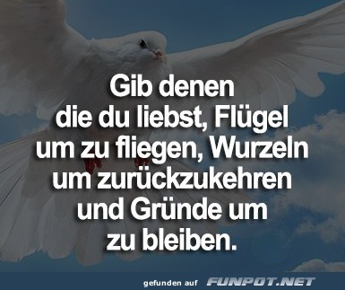 10 sch�ne Spr�che und Lebensweisheiten aus...