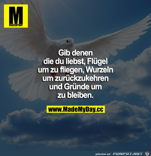 Flügel Flügel