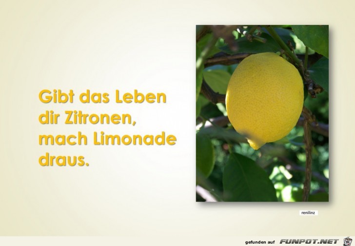 gibt das Leben dir Zitronen