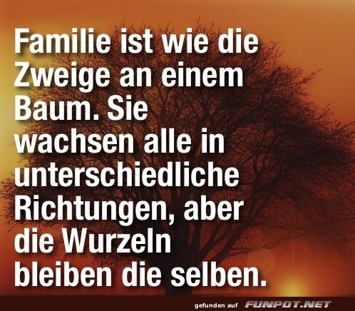10 sch�ne Spr�che und Lebensweisheiten aus...