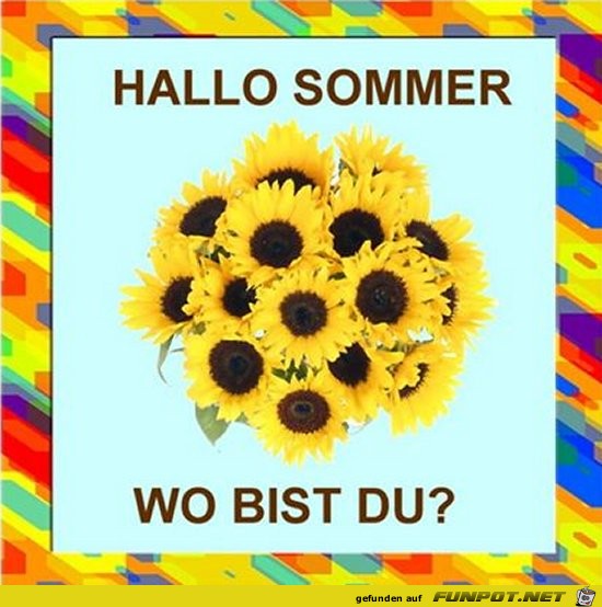 hallo sommer 