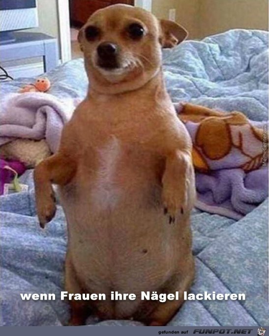 naegel