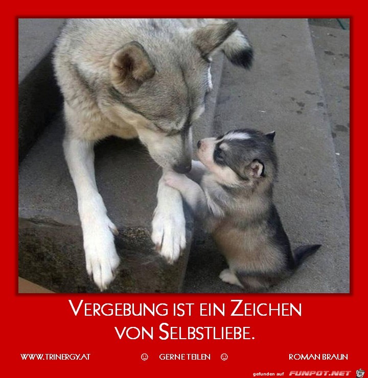 Vergebung Vergebung