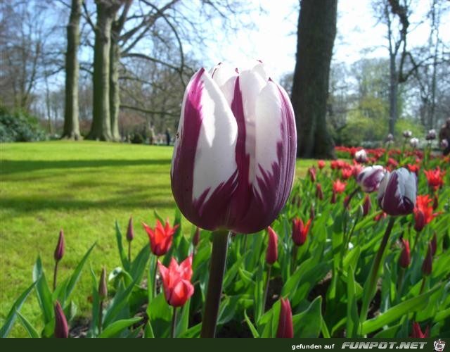 Im April ist der Garten 