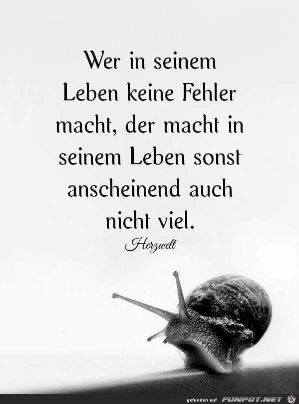 wer in seinem Leben wer in seinem Leben