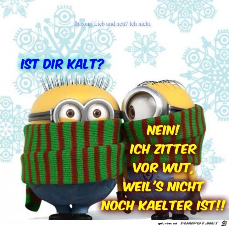 Kalt