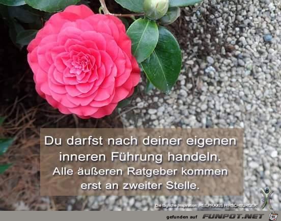Fuehrung Fuehrung