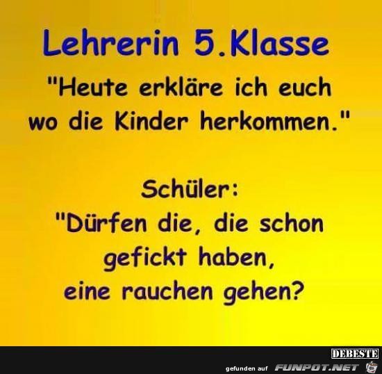 Lehrerin 5 Klasse