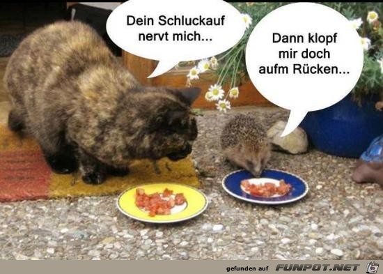 Schluckauf