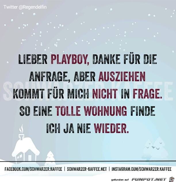 playboy playboy