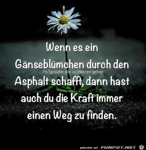 Wenn es ein Gaensebluemchen Wenn es ein Gaensebluemchen
