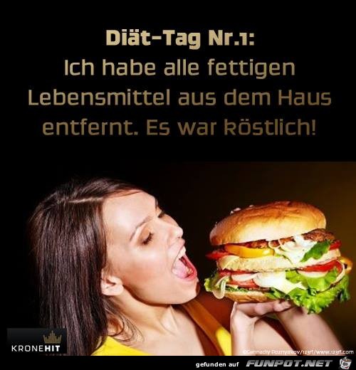 Diaet-Tag 1 Diaet-Tag 1