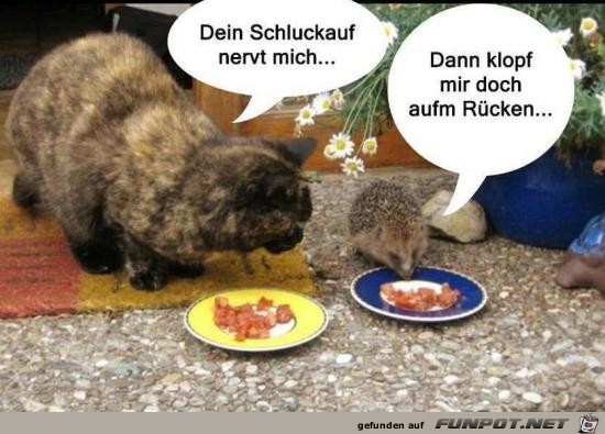 Rücken Rücken