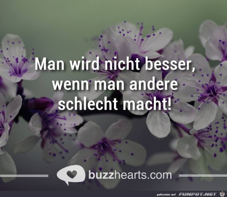 besser 1 besser 1