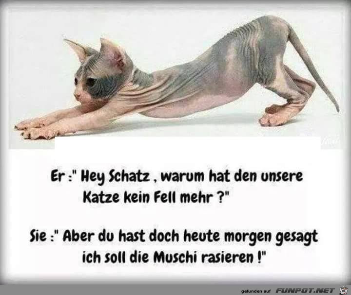Hey Schatz Hey Schatz