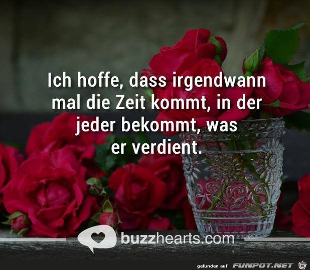 hoffe hoffe