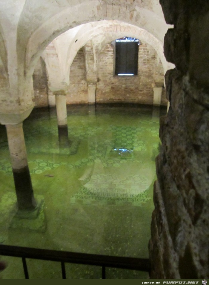 11-30 Goldfische unter der Basilika 11-30 Goldfische unter der Basilika