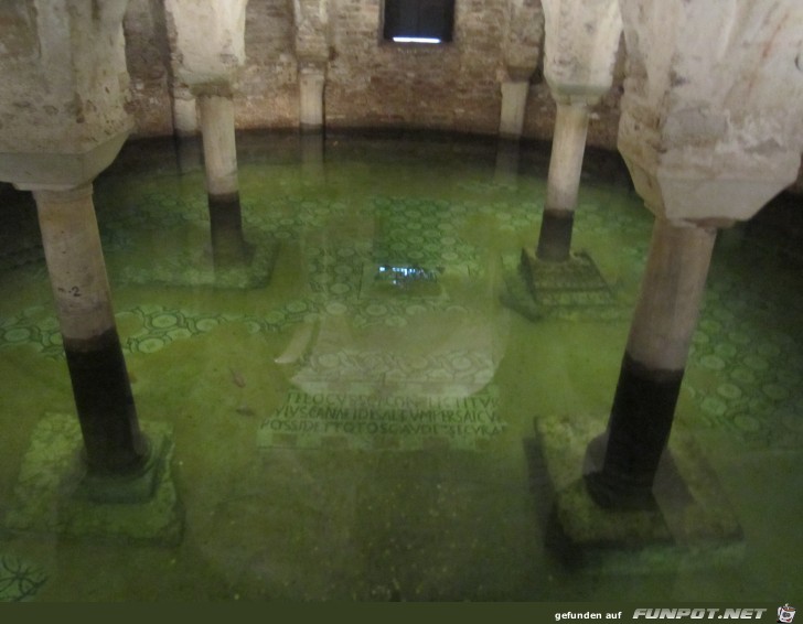 11-31 Goldfische unter der Basilika 11-31 Goldfische unter der Basilika