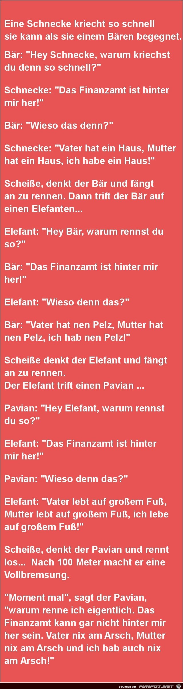 die Schnecke und der Baer die Schnecke und der Baer