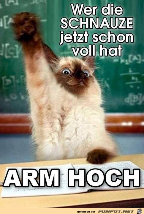 Arm hoch