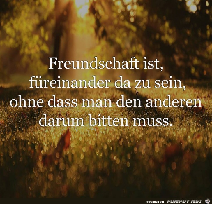 Freundschaft