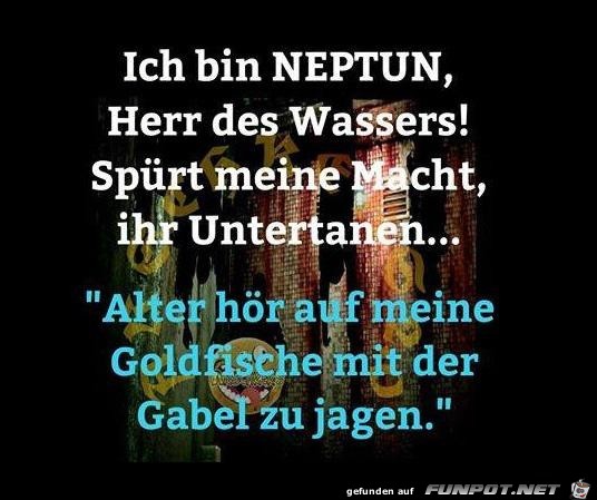 ich bin Neptun