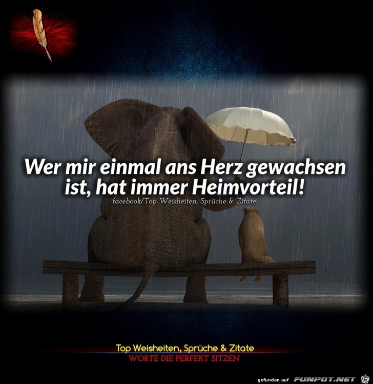 Heimvorteil