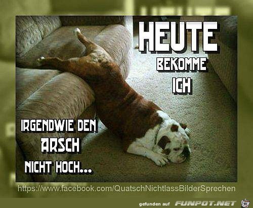 Heute Heute