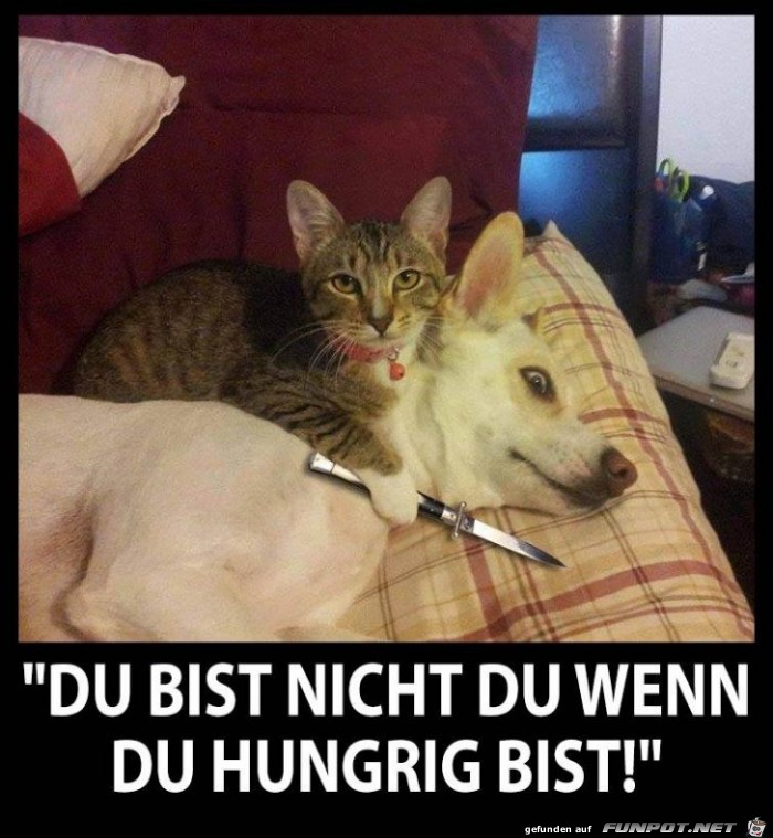 Du bist nicht du