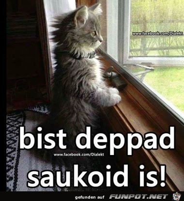 Bit deppad Bit deppad