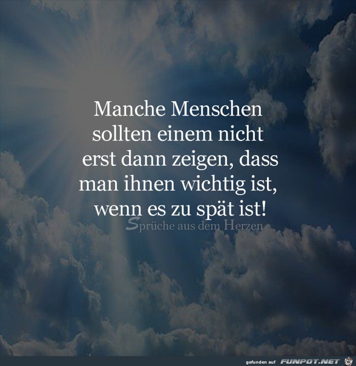 Manche Menschen 